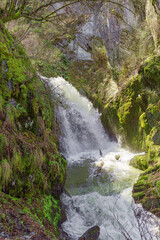 Fototapeta na wymiar Chedor Waterfall is located on one of shores of Lake Teletskoye, Altai Republic, Siberia, Russia. Spring landscape, beautiful waterfall surrounded by trees and rocks, nature environment