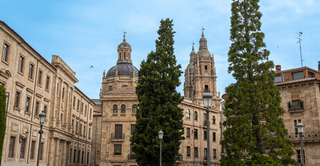 Fototapeta na wymiar Cúpula y torres de la Clerecía, universidad pontificia de Salamanca, España