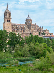 Fototapeta na wymiar Río Tormes y majestuosa catedral gótica del siglo XVI de Salamanca, España