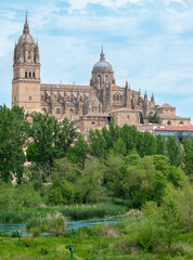 Fototapeta premium Río Tormes y majestuosa catedral gótica del siglo XVI de Salamanca, España