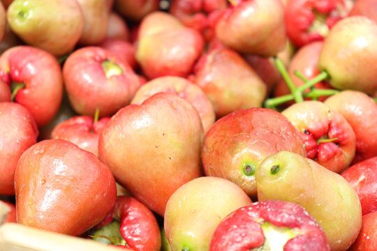 java apple stock on farm