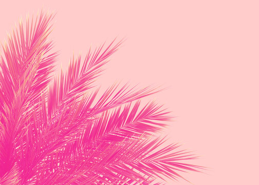 30700 Pink Palm Tree Stock Photos Pictures  RoyaltyFree Images   iStock  Neon pink