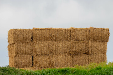 Countryside landscape with stack of blocks of dry hay on green grass field, Keep to feed cows, horses or another animals in the farm in the winter, Agriculture in the farmland. - obrazy, fototapety, plakaty