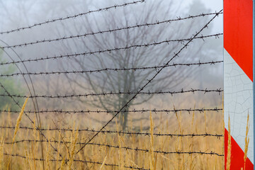 Barbed wire fence at the Chernobyl exclusion zone, Ukraine