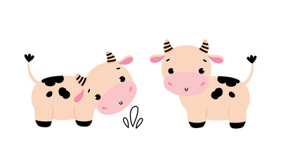 Cute Little Cow Calf with Hoof Grazing on Pasture with Grass Vector Set