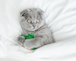Playful kitten holds gift box under white blanket. Top down view