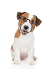 Smart Jack russell terrier puppy wearing  eyeglasses looks at camera. isolated on white background