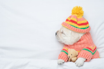 Golden retriever puppy wearing warm sweater sleeps under white blanket on a bed at home and hugs...