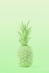 Creative green Summer tropical fruit concept of pastel tasty pineapple. A refreshing healthy snack..