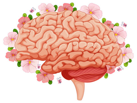 Human brain with pink flowers