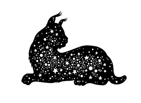 Lynx cat silhouette. Bobcat black vector logo or icon. Magic animal illustration. Mystical moon witch lynx symbol. Mystic european bobcat isolated on white. Freya esoteric art. Celestial boho planet