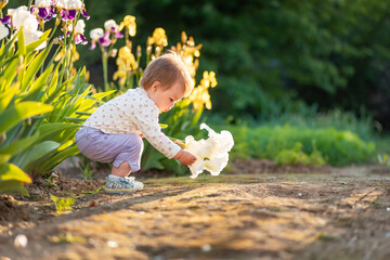 A cute little baby holds an iris flower in his hands, sitting near irises bushes. Sunset sunlight....