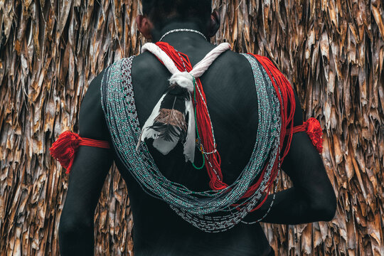 Detail of adornment or jewellery on the  back of an indian man from a Brazilian Amazon tribe,  taking part in the Indigenous Games. 2010.