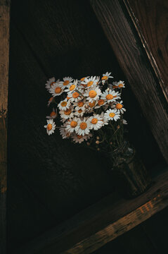 Bouquet of live field daisies on a natural wood background
