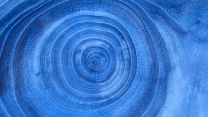 texture of blue wooden background with annual rings