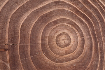 Fototapeta na wymiar texture of brown wooden background with annual rings