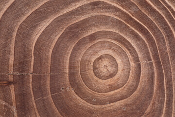 Naklejka premium texture of brown wooden background with annual rings