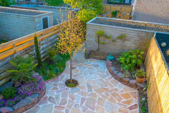 Plants and colorful flagstones in a garden in bright sunlight under a sunny sky in springtime, Almere, Flevoland, The Netherlands, May 15, 2022