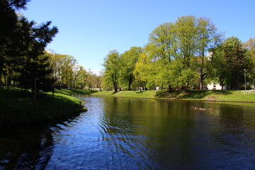 lake in the park