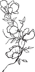 Vector illustration in black and white drawn in the style of a single line with the image of decorative flowers.
