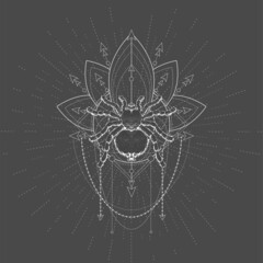 Vector illustration with hand drawn Spider Tarantula and Sacred symbol LOTUS on black background. Abstract mystic sign. White linear shape. 