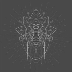 Vector illustration with hand drawn Wasp and Sacred geometric symbol on black background. Abstract mystic sign. White linear shape. 