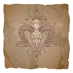 Vector illustration with hand drawn ram skull, dragonfly and Sacred geometric symbol on vintage paper background with torn edges.