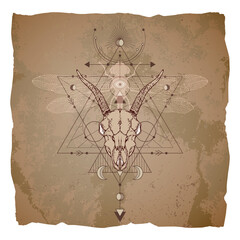 Vector illustration with hand drawn goat skull, dragonfly and Sacred geometric symbol on vintage paper background with torn edges.
