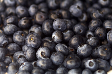 Lots of blueberries close up
