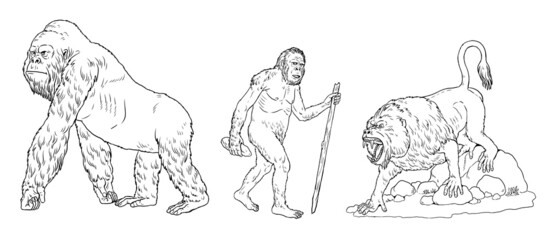Prehistoric primates gigantopithecus, dinopithecus and australopithecus. Ancestors of humans for coloring book.