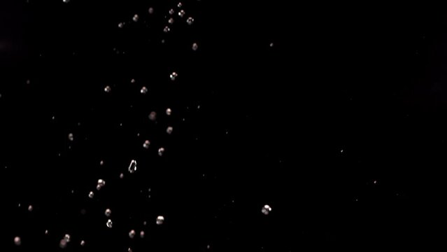 Flying of Pomegranate in Black Background in Slow Motion
