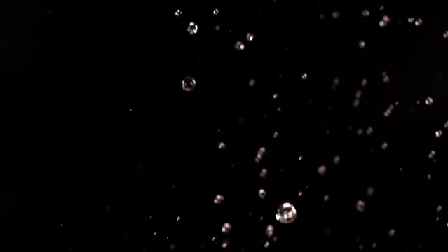 Flying of Pomegranate in Black Background in Slow Motion