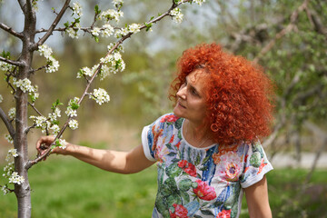 Redhead curly haired woman in an orchard