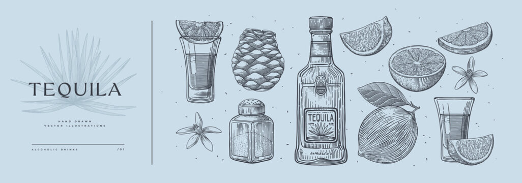 Set of hand-drawn ingredients for tequila. Tequila bottle, lime, blue agave, salt, shot glass. Retro picture for the menu of restaurants, shops. Vector illustration in engraving style.