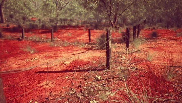 orange scrubby sands wire fence and small trees