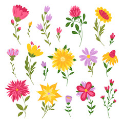 Fototapeta na wymiar Handsketched collection of spring and summer abstract stylized flowers. Modern floral illustration, botanical clipart. Flourish design elements. Spring mood, summer vibe.