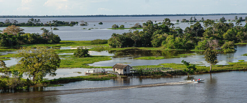 Aerial view of a wetland in Maraj&oacute; Island, Par&aacute; State, Amazon, Brazil.