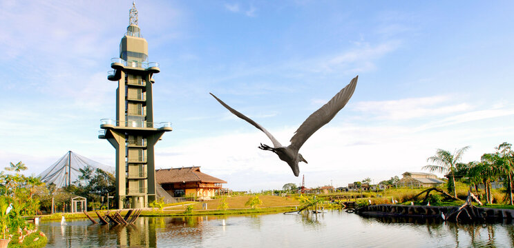 Mangal das Gar&ccedil;as in Bel&eacute;m, Par&aacute;, Amazon, Brazil.