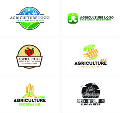 A set of agriculture emblem logo with various symbol such as landscape and snowflake, strawberry, circling round wheat plant, and farm house vector illustration