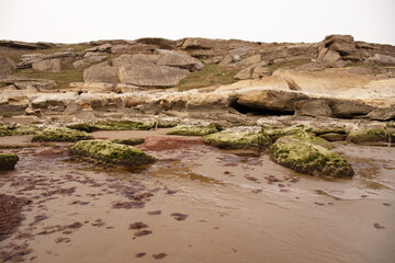 Beautiful rocky seashore.