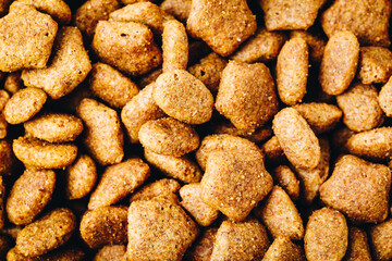 Dog food. Dried dog food background