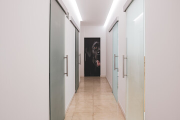 A corridor of a veterinary clinic.