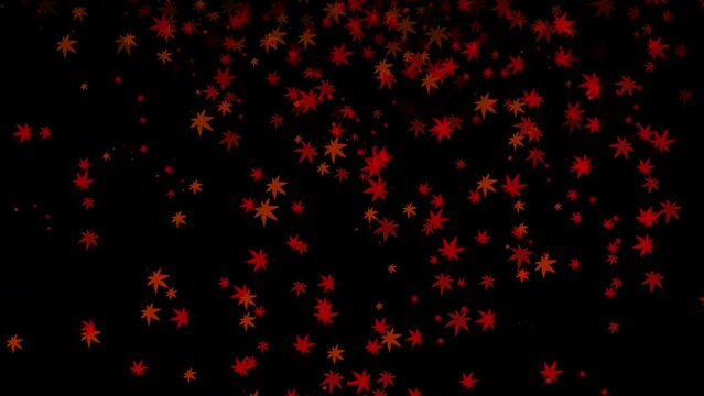 舞い散る紅葉の和風のイメージ動画