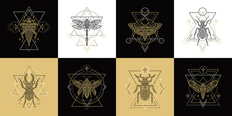 Insect outline symbols. Spiritual geometric icons. Vector illustrations in flat linear style. Butterflies and moths, beetles and dragonfly. Use for logo, packaging, identity and tattoo. - obrazy, fototapety, plakaty
