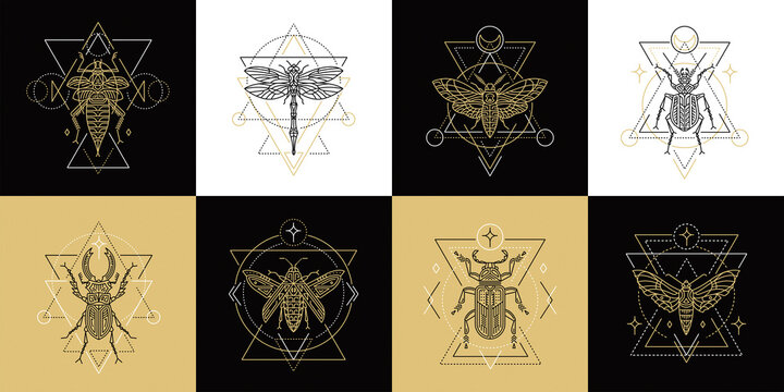 Insect outline symbols. Spiritual geometric icons. Vector illustrations in flat linear style. Butterflies and moths, beetles and dragonfly. Use for logo, packaging, identity and tattoo.