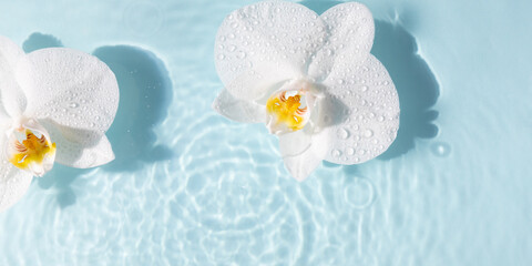 Cosmetic background with flowers.Texture water surface. Summer background. White orchid flower.