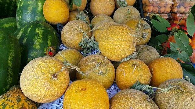 Melons and watermelons displayed at a grocery produce section, highlighting freshness, vibrant colors, and everyday fruit shopping in a local market.