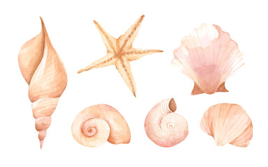 Collection of seashells. Isolated on white background. Watercolor illustration