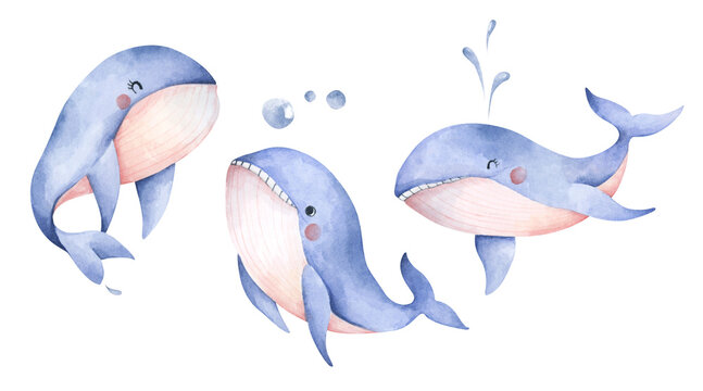 Set of Cute blue whale. Isolated on white background. Watercolor illustration.