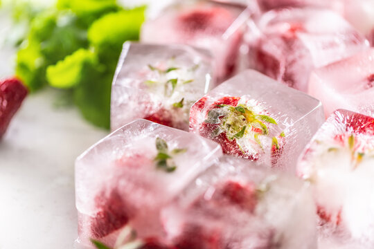 Fresh strawberries frozen in ice blocks with melissa leaves